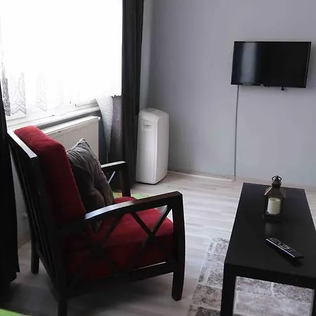 公寓式酒店 Kurtulus House